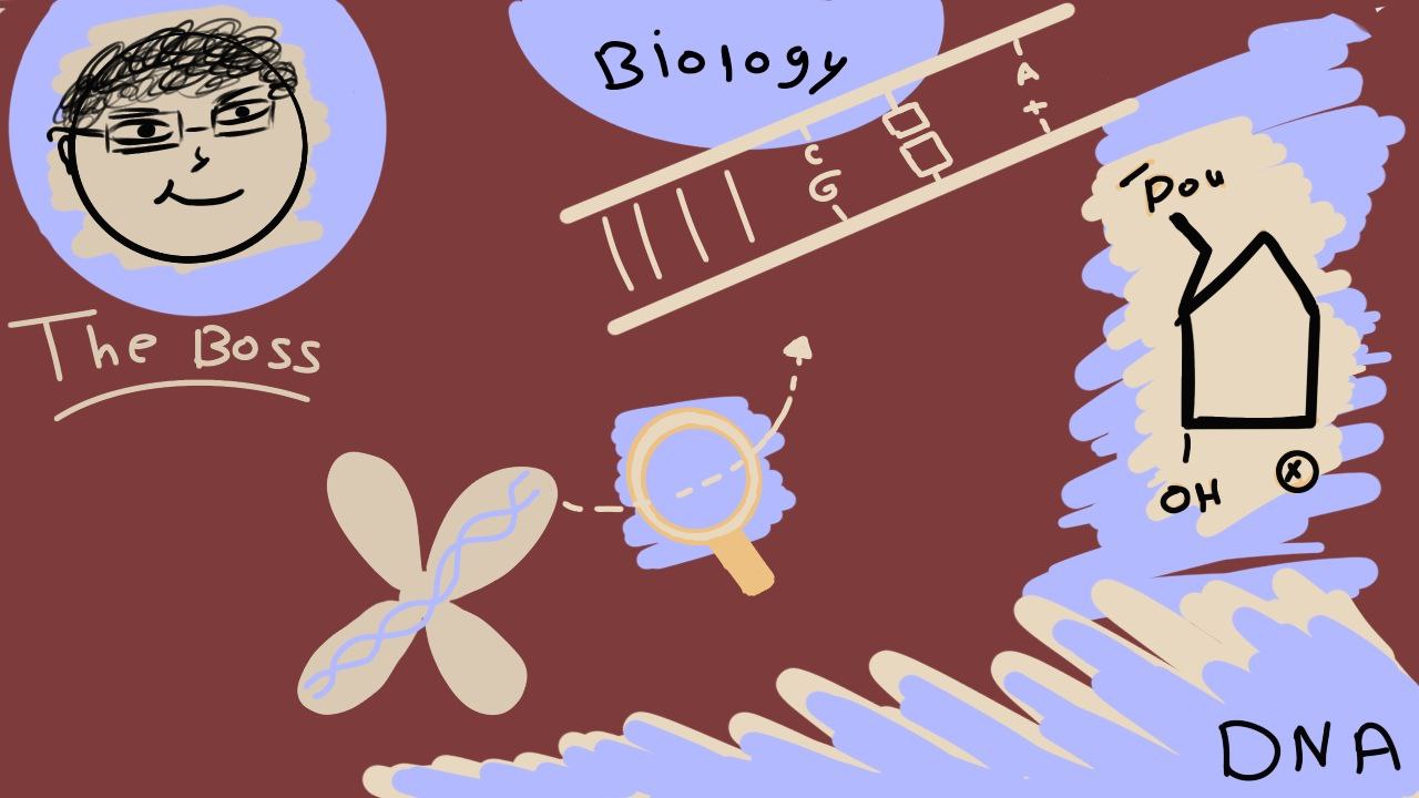 ال DNA كاامل🤩
