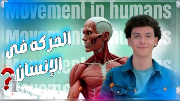 الشهر الثاني